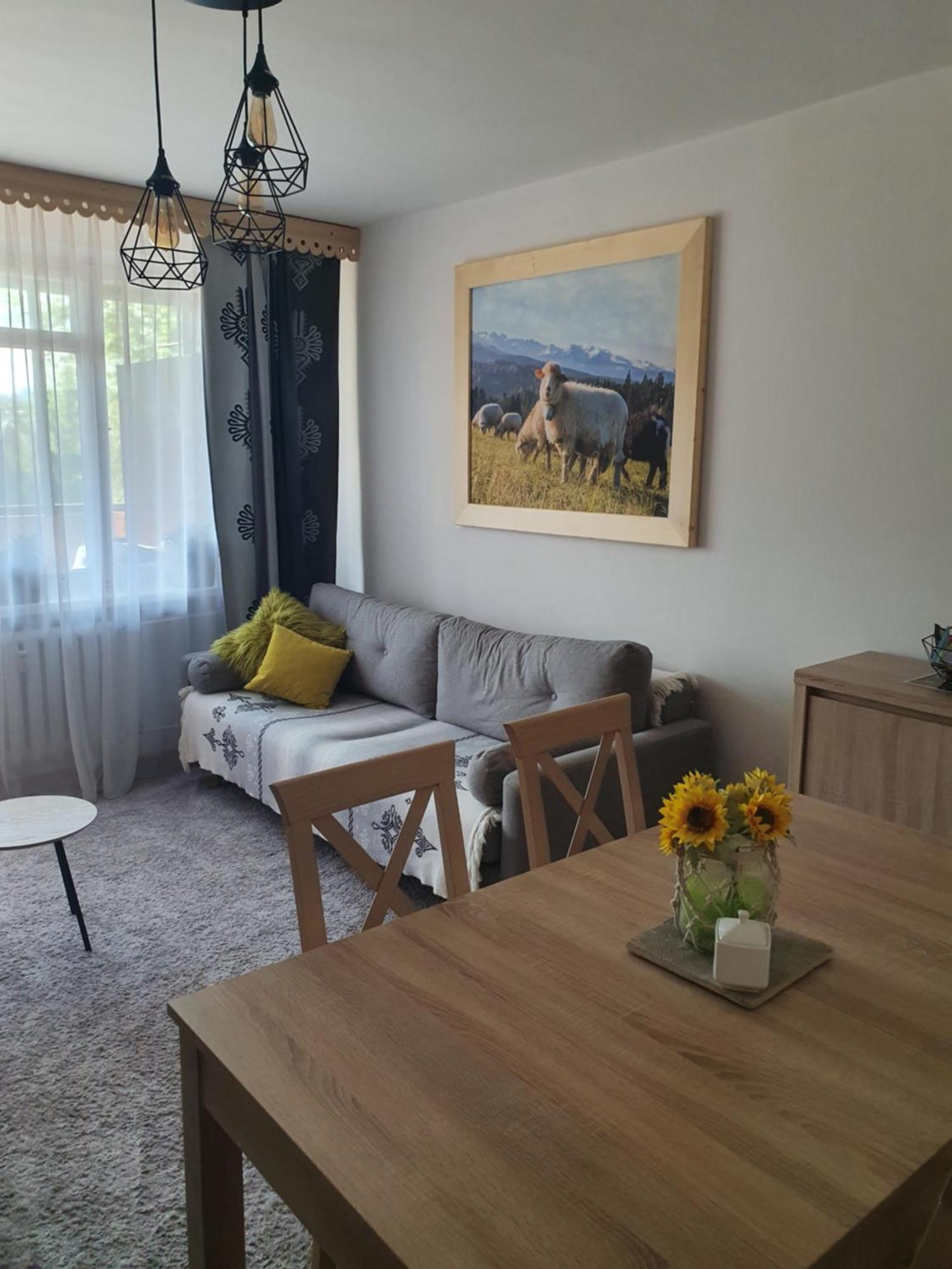 Apartament Regionalny Centrum زاكوباني الغرفة الصورة